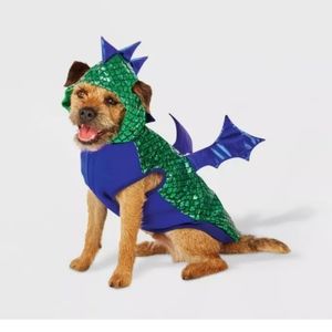 Dragon XXL dog costume
